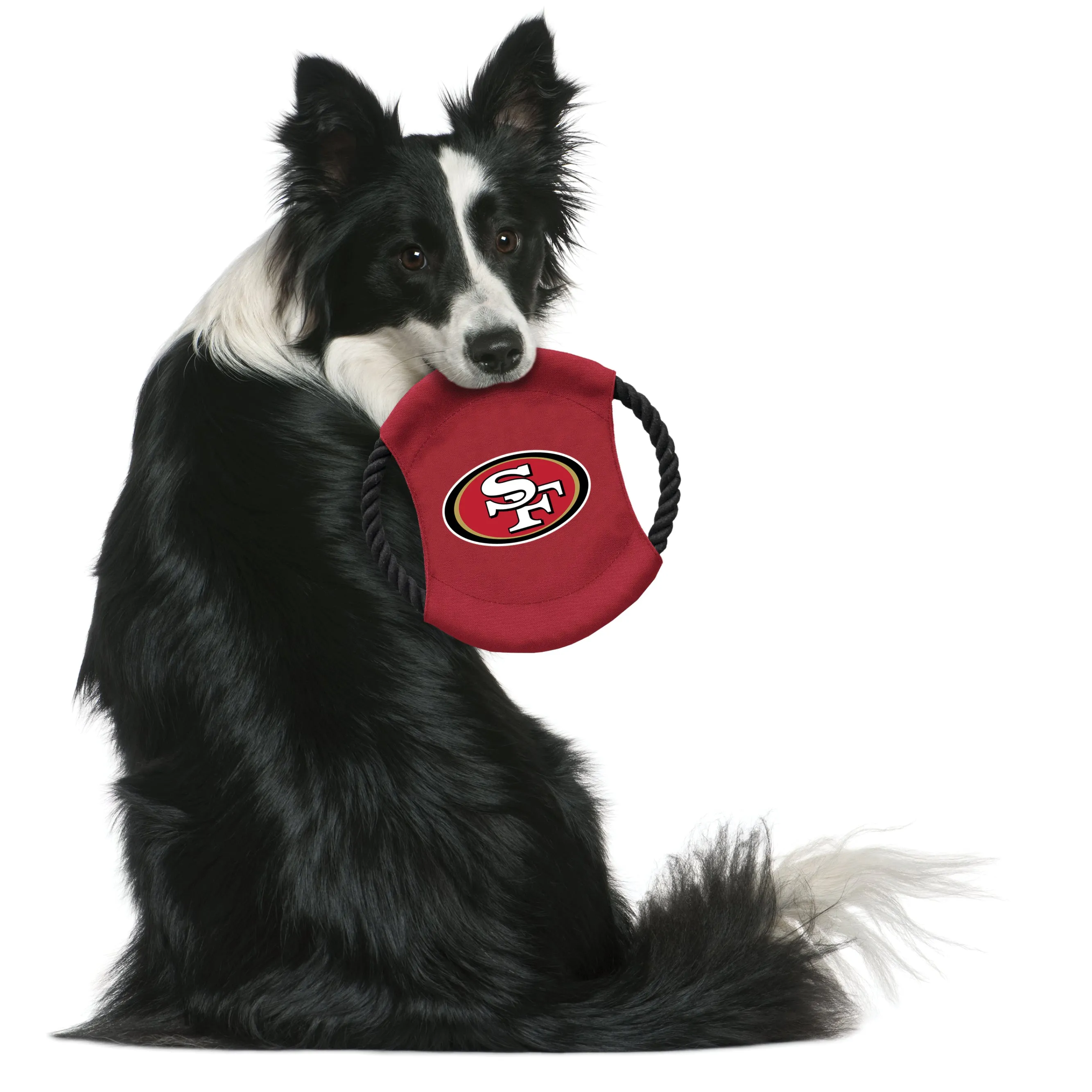 San Francisco 49ers Team Flying Disc Pet Toy