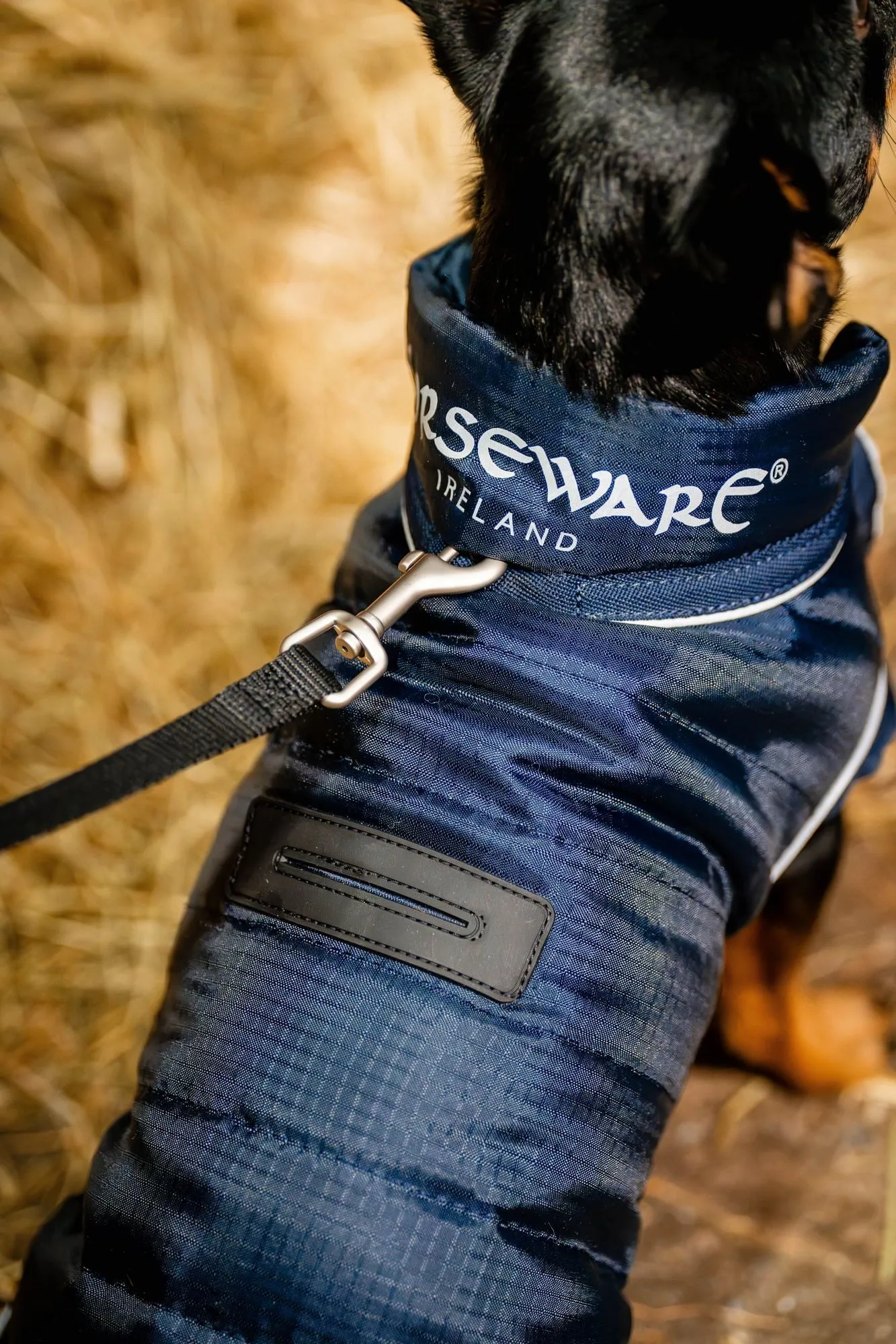 Signature Dog Rug