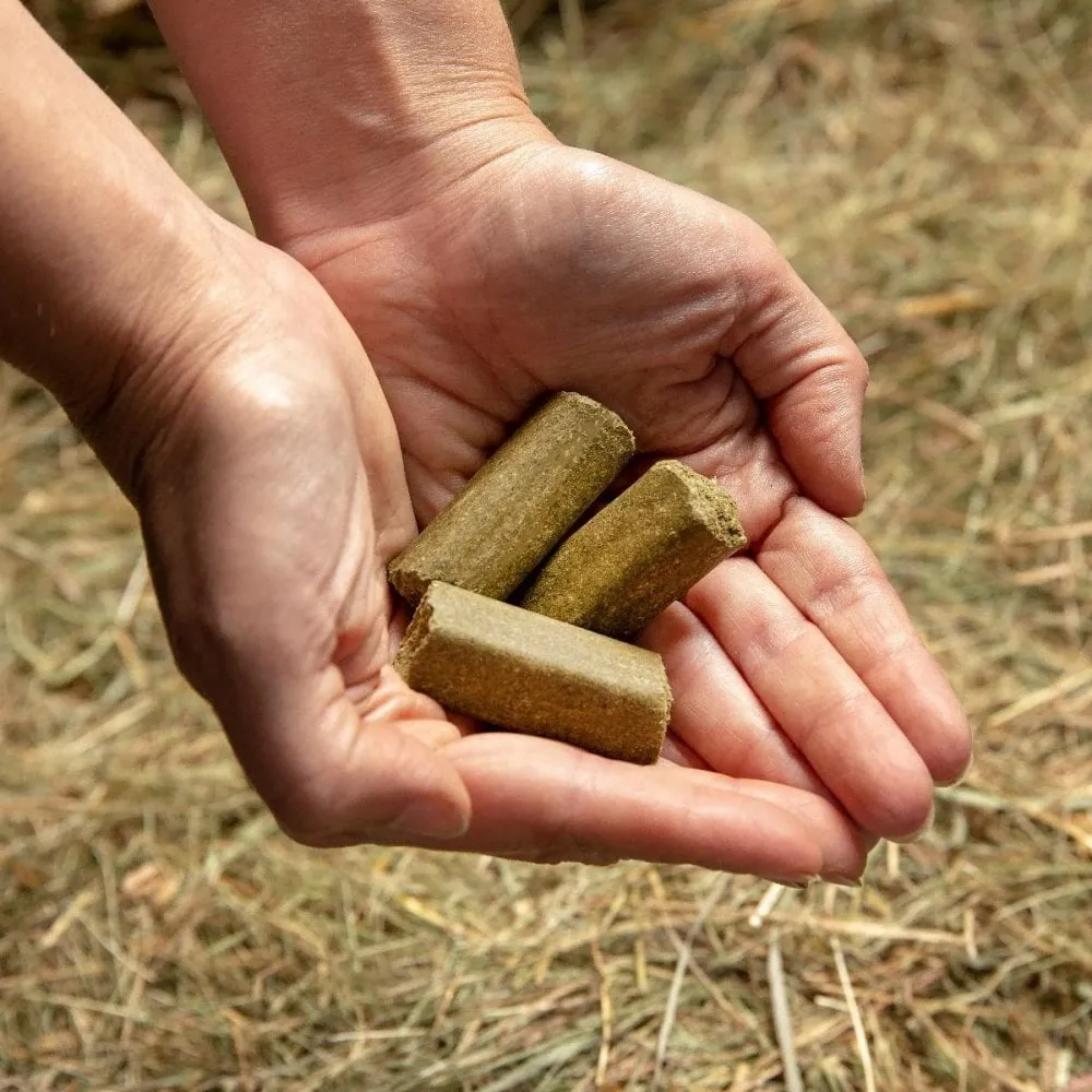 Spillers Meadow Herb  Glucosamine Treats