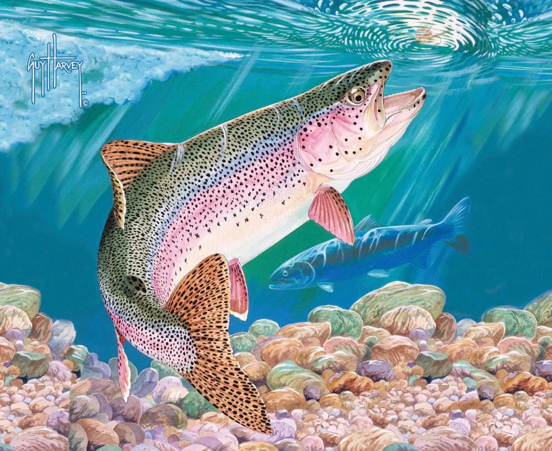 Trout Guy Harvey Pet Bed