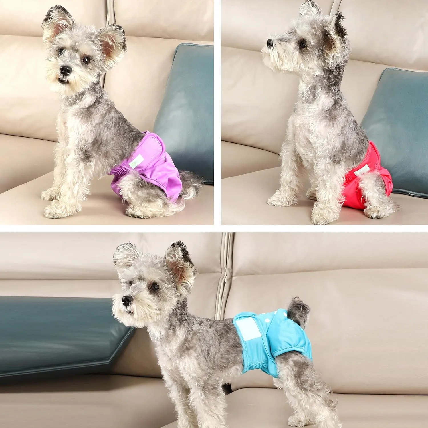 wegreeco Washable Reusable Premium Female Dog Diapers, Medium Large Small Dog Doggie Puppy & Doggy Diapers Female,Period Panties in Heat (Pack of 3, Medium)